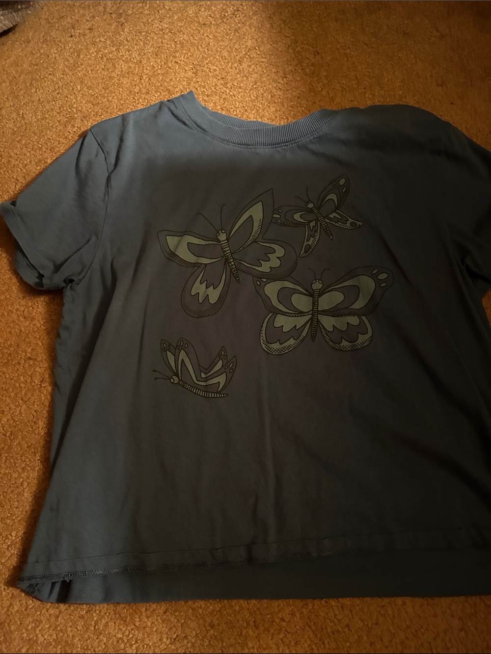American Eagle Outfitters Girls' Short Sleeve Butterfly Tee - Blue